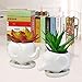 Animals Ceramic Flower Pot, Bantoye 2 Styles Elephants Succulent Planter Pots Cute White Animal Decor for Cactus & Succulent Plant
