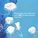 Tampax Pure & Clean Tampons with Plastic Applicator, Regular Absorbency, Unscented, 16 Count- Pack of 4 (64 Count Total)
