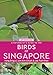 A Naturalist's Guide to the Birds of Singapore (Naturalist's Guides) by Yong Ding Li, Lim Kim Chuah