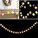 LEORX Easter Egg String Light 6.56ft with 20 Egg-Shaped LED Lights