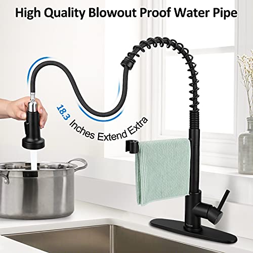 Matte Black Kitchen Faucet with Pull Down Sprayer, Lanhado Commercial Spring Kitchen Sink Faucet with Deck Plate, Single Handle One Hole Kitchen Faucets for RV, Stainless Steel Faucet for Kitchen Sink