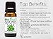 Biofinest Aloe Vera Organic Oil - 100% Pure, Natural, Cold-Pressed - Premium Quality - Best Moisturizer For Hair, Face & Skin - Boost Wound Recovery - FREE E-Book (10ml)