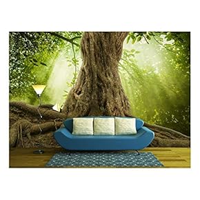 BRAND_NAMEBig Tree Roots and Sunshine in a Green Forest