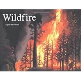 Fire A Renewal Of A Forest Celia Godkin 9781550418897 Amazon Com Books