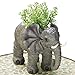 Bits and Pieces - Elephant Garden Planter - Decorative Indoor or Outdoor Safari Plant Holder