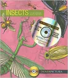 Insects Dover Pictura Electronic Clip Art Alan Weller