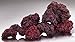 Pisces 10 lb Purple Lava Rock, Varies