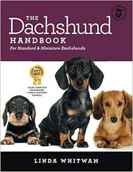 amazon dachshund
