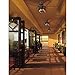Westinghouse 7800000 Brentford Indoor/Outdoor Ceiling Fan with Light, 52 Inch, Aged Walnut