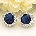 EVER FAITH 925 Sterling Silver Cubic Zirconia Elegant Cushion Cut Halo Stud Earrings Blue
