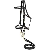 Australian Outrider Nylon Halter Bridle with Reins