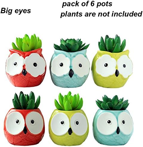 Everyday Better Life 6 PCS Set Cute Animal Owl Shaped Cartoon Home Garden Decoration Succulent Cactus Flower Pot/Plant Pots/Planter/Container