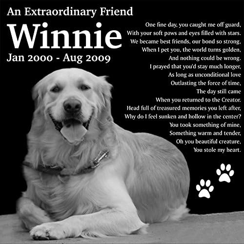 Lazzari Collections Personalized Pet Dog Cat Memorial 12"x12" Engraved Black Granite Grave Marker Head Stone Plaque WIN1