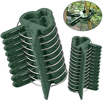 Clips para Plantas de jardín 60 pcs - Mopalwin flor clips ...
