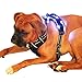 Best Friend Mobility Ultra Reflective LED Dog Harness with or without LED Lighting Front Range Outdoor Pet Vest with Handle 4 Sizes Small to XLarge Black (LED Small)