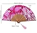 Meifan Chinese/Japanese Womens Multi Color Handmade Silk Folding Hand Fan (Rosy)