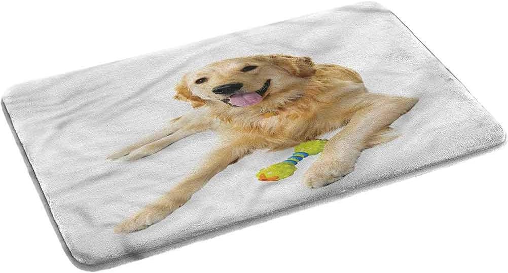 Ahuimin Bath Mat NonSlip Modern Bath Rugs, Golden Retriever Pet Dog Toy, Washable Floor Throw