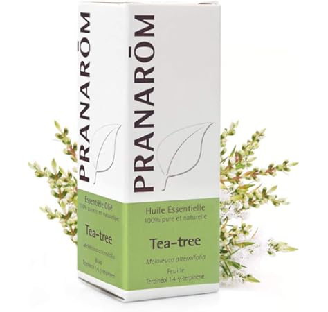 AEQT Menta Piperita Aceite Esencial: Amazon.es: Salud y cuidado ...