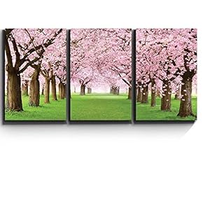3 Piece Canvas Print - Contemporary Art, Modern Wall Art - Beautiful Cherry Blossom Trees - Giclee Artwork - Gallery Wrapped Wood Stretcher Bars - Ready to Hang 16"x24"x3 Panels