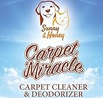 Carpet Miracle - Carpet Cleaner and Deodorizer Solution for Hoover, Bissell, Rug Doctor, Kenmore (32FL OZ)