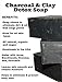 Teenie Greenie Naturals 2 Activated Charcoal and Clay Detox Soap Bar and Facial Konjac Sponge