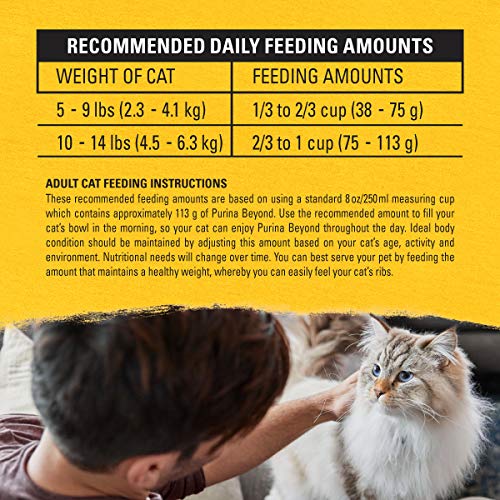 Purina Beyond Natural Limited Ingredient Dry Cat Food, Simply White