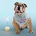 JOYLOADER Dog Birthday Bandana Boy - Dog Birthday Party Supplies - Birthday Boy Dog Bandana - Ideal Birthday Gift Idea for Pet