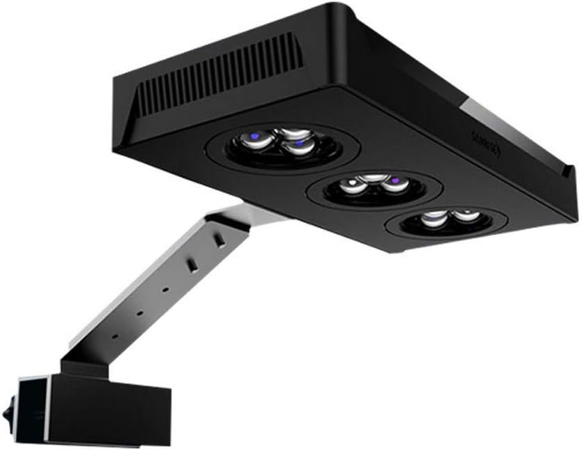 illuminazione della barriera corallina