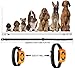 Shock Collar for Dogs – Dog Training Collar with Remote w/3 Training Modes, Beep, Vibration and Shock, Rechargeable 100% Waterproof Electric Collar for Small Medium Large Dogs, Up to 1500Ft Remote Ranthumb 4