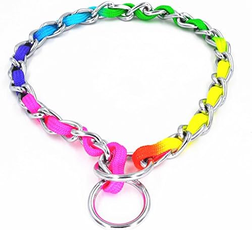 JWPCEU Rainbow Color Stainless Steel P Chock Metal Chain Training Dog Pet Collars Necklace Walking Training Pet Supplies for Small, Medium Dogs,S