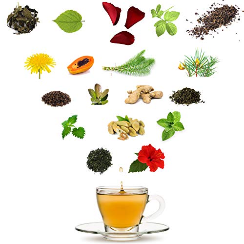 SLIM TEA - Abnehmen Schnell & Fettverbrenner - Grüner Tee lose, Mate, Ingwer, Löwenzahn, weiÃer Tee, Hibiscus, Schachtelhalm, Brennessel, Papaya, Kardamom - Antioxidantien - Natürliche Zutaten 100g – Bild 6