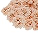 Generic Artificial Faux Silk Stapelia Flower Heads Bulk Home Party Decor Apricot Pack of 50