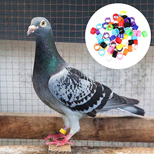 EXCEART 100Pcs Vögel Fußringe Vgelbeinbänder Vgelclip auf Beinringen Öffnung Fußring für Taubenpapageienküken Ententaube… – Bild 7