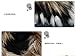women winter warm high long snow Ankle boots faux fox rabbit fur tassel shoes