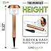 LongWalker Solar-Powered LED Garden and Pathway Lights: 2 Wireless, Weatherproof, Waterproof, Longlasting Stainless Steel Ground Lights plus Garden Hand Shovel