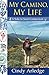 My Camino, My Life: A Sole to Soul Connection by