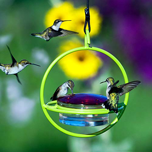 Couronne Company Mosaic Birds M047 301 L Hummble Bold Hummingbird