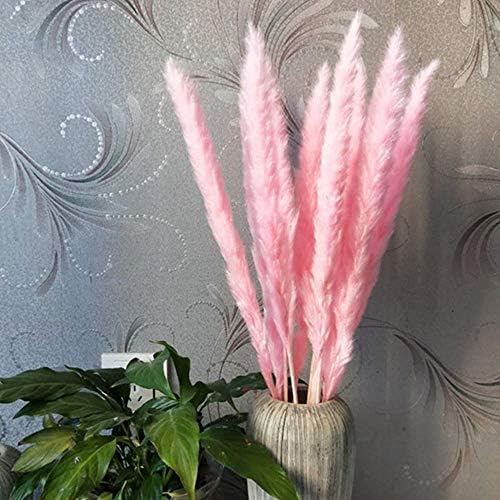 Renxinu 15 Pcs Dried Pampas Grass Reed Home Wedding Flower Bunch Decor (Pink)