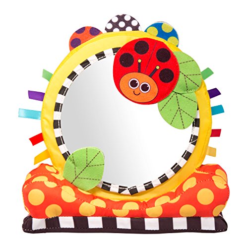 sassy baby mirror
