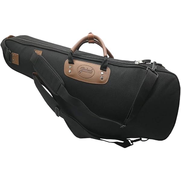Amazon.com: BAM! gig bag for tenor saxophone BAMTECH BAMTECH