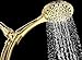 Aquarius Gold Shower Head With Handheld Sprayer, 6 Spray Settings High Pressure Polished Brass Showerhead With Hose (Extra Long) & Adjustable Brass Ball Bracket Kit, Shower Head Gold Finish