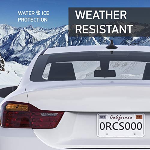 2 Rightcar+Solutions+Flawless+Silicone+License