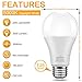 KINDEEP E26 LED Bulbs, 150W-200W Incandescent Bulb Equivalent, 23W, A21 LED Light Bulbs, 2500 Lumens, Not-Dimmable 6 Pack Daylight White 5000K