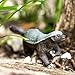 Safari Ltd. Wild Safari Wildlife - Honey Badger - Quality Construction from Phthalate, Lead and BPA Free Materials - for Ages 3 and Up