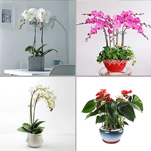Fashionclubs 6 Pack Plant Support Stakes, Single Stem Support Stakes Metal Garden Flower Support Stakes Plant Cage Support Rings with 12pcs Plant Clips, 17.8" Amaryllis Stakes for Tomatoes Orchid Lily