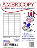 Americopy 3000 Blank Labels Name and Address Label, 2-5/8" x 1