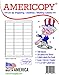 Americopy 3000 Blank Labels Name and Address Label, 2-5/8" x 1 primary