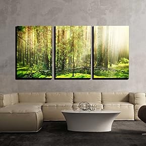 3 Piece Canvas Wall Art - Forest - Modern Home Art Stretched and Framed Ready to Hang - 16"x24"x3 Panels