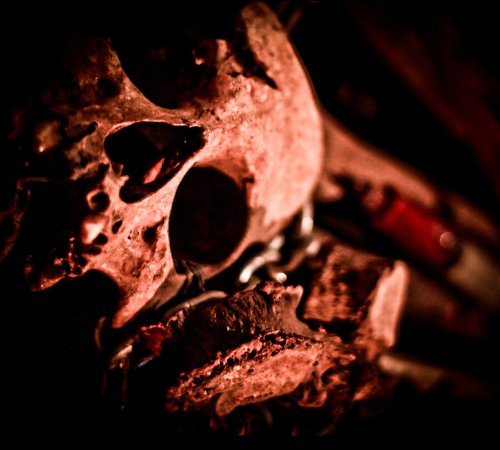 Astral Mantras of Dyslexia