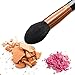 Party Queen Highlighter Makeup Brush Tool